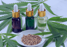 California Active Medical Marijuana Patients in 2025.png