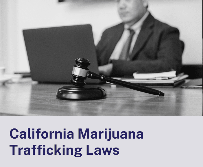 California Marijuana Trafficking Laws