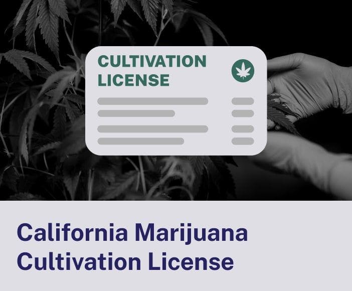 California Marijuana Cultivation License