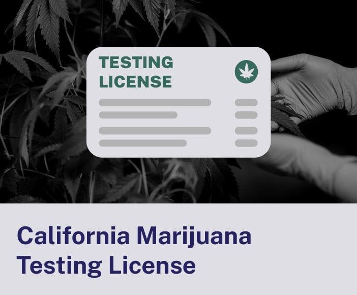 California Marijuana Testing License