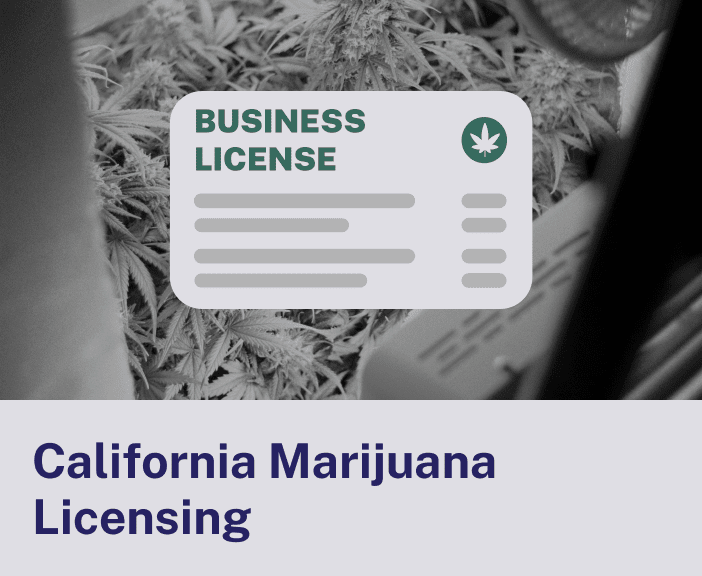 California Marijuana Licensing